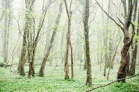 /album/andrea-peter/ap10-jpg/